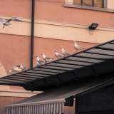I gabbiani vi si stazionano sopra guardando dall�alto famelici alla ricerca del pesce avanzato: tra poco anche loro dovranno trovare nuovi luoghi dove andarsi a sfamare